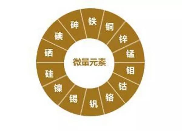 微量元素分析仪厂家认为微量元素与生命息息相关?kaifa