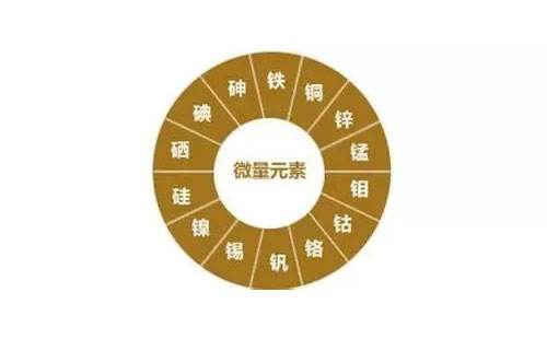 儿童微量元素检测仪检测重要微量元素?kaifa
儿童微量元素检测仪检测重要微量元素?kaifa