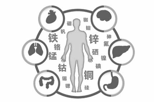 微量元素检测仪厂家为人体健康做出了重大贡献?kaifa