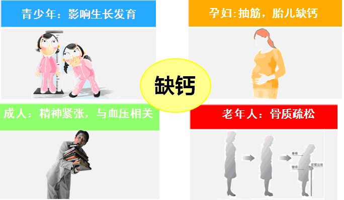 全自动微量元素分析仪缺乏维量元素钙和维生素D?kaifa