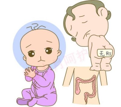 全自动微量元素分析仪之微量元素吸收障碍?kaifa