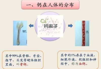 儿童微量元素检测仪品牌为您解析为何宝宝缺钙会生病-kaifa
儿童微量元素检测仪品牌为您解析为何宝宝缺钙会生病-kaifa
