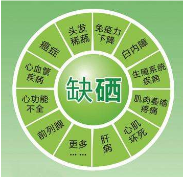 【微量元素分析仪】牌子kaifa
提示补硒与“治未病”和疾病防备